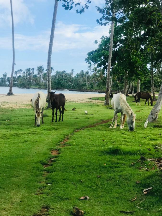 Oasis En La Naturaleza Rancho Alto Bonito Las Galeras Exterior foto